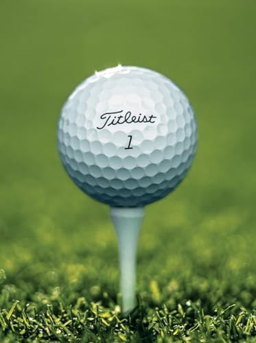 Titleist Pro V1 2023 Model Refinished Golf Balls – Tour-Level Distance, Soft Feel, and Control – Premium Refinished Quality - Image 2