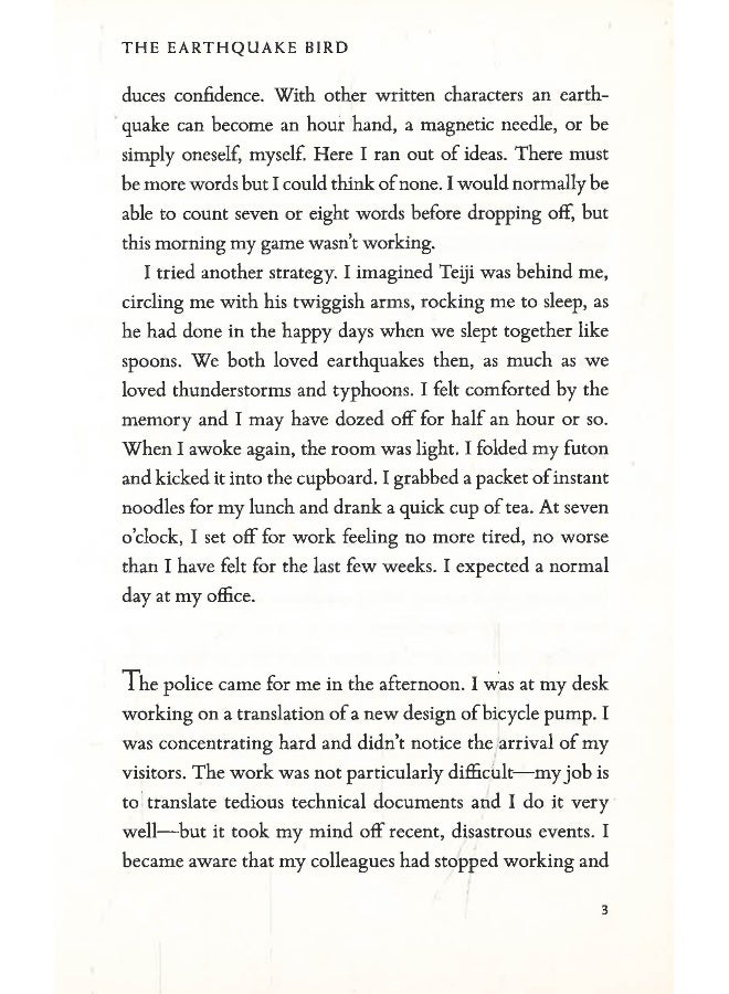 The Earthquake Bird - Image 4