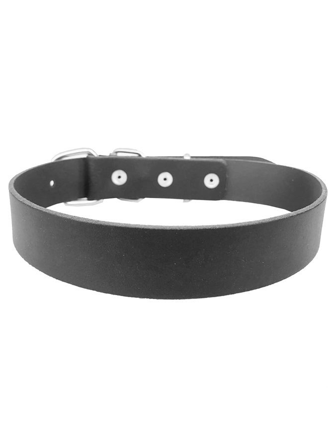 MONODOG Premium Leather Dog Collar - Durable and Fashionable Straight Collar for Comfortable Control and Training (Small (9 3/4-12 1/5" (24-31cm)), Blackd) - Image 1