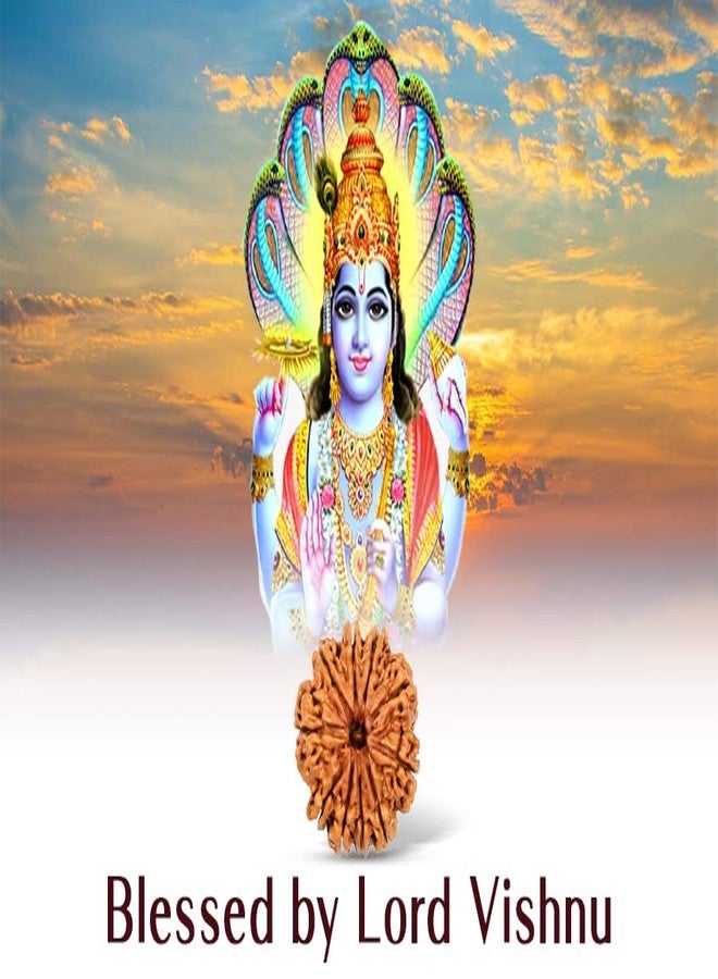 Trinetra Gems 10 Mukhi Rudraksha Original Certified Nepali Genuine 10 मुखी रुद्राक्ष Das Mukhi Rudraksha Blessed by Lord Lakshmi Narayan for Men Women दश मुखी रुद्राक्ष Beeds Real Ten Mukhi Rudraksha - Image 3
