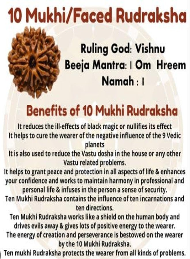 Trinetra Gems 10 Mukhi Rudraksha Original Certified Nepali Genuine 10 मुखी रुद्राक्ष Das Mukhi Rudraksha Blessed by Lord Lakshmi Narayan for Men Women दश मुखी रुद्राक्ष Beeds Real Ten Mukhi Rudraksha - Image 4