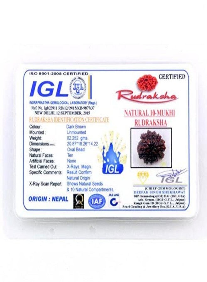 Trinetra Gems 10 Mukhi Rudraksha Original Certified Nepali Genuine 10 मुखी रुद्राक्ष Das Mukhi Rudraksha Blessed by Lord Lakshmi Narayan for Men Women दश मुखी रुद्राक्ष Beeds Real Ten Mukhi Rudraksha - Image 5