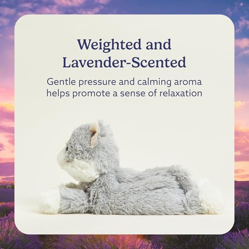 warmies Microwavable & Weighted Stuffed Animals, Laying Down Gray Cat - Heated Stuffed Animal Plushie for Warmth & Comfort - Cute Soft Plush Toys for Boys, Girls, Babies & Toddlers - Image 3