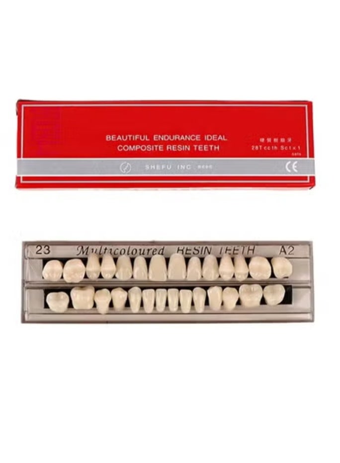 Composite Resin Teeth，28 Pieces False Teeth，Whole Teeth Synthetic Polymer Denture Teeth，23 Shade A2 Upper + Lower Dental Materials for Replacement - Image 1