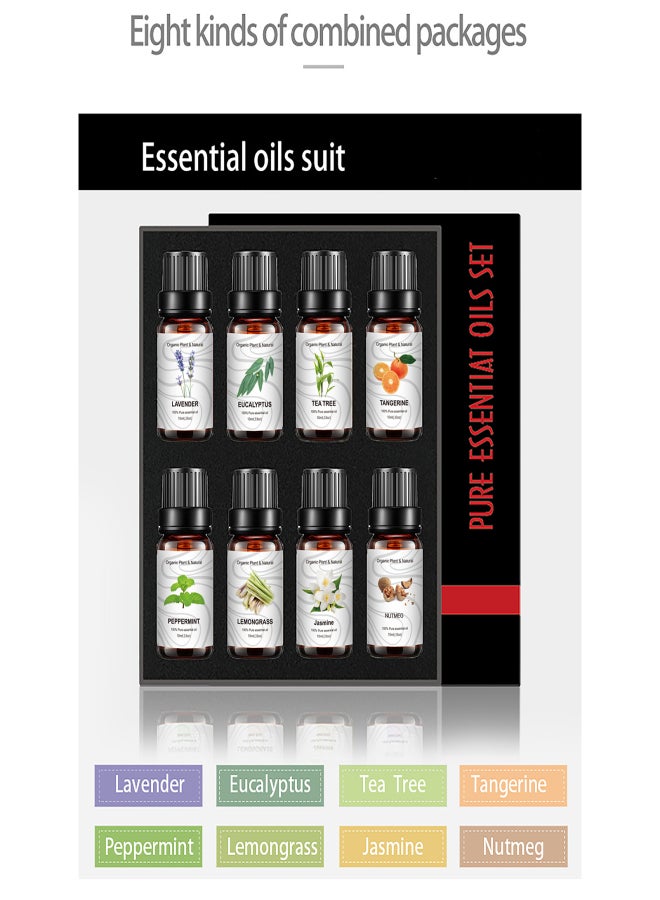 مجموعة هدايا من ٨ زجاجات من الزيوت العطرية النقية والطبيعية، ١٠ مل لكل زجاجة، مثالية للاستخدام في أجهزة التبخير، وترطيب الجو، والتدليك، والعلاج العطري، والاسترخاء، والعناية بالبشرة والشعر. - Image 2