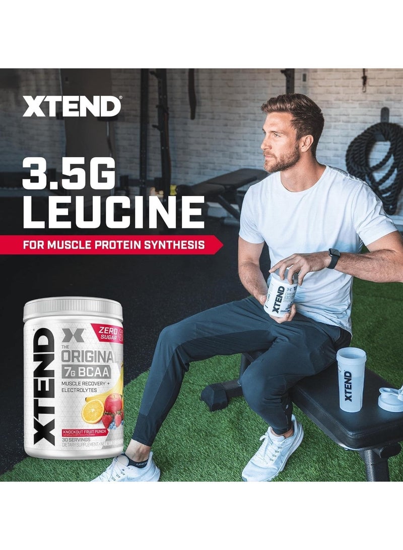 XTEND Original BCAA Powder Zero Sugar With Electrolytes for Hydration & Muscle Repair, Post-Workout Supplement, Knockout Fruit Punch Flavor - 30 Servings - Image 3