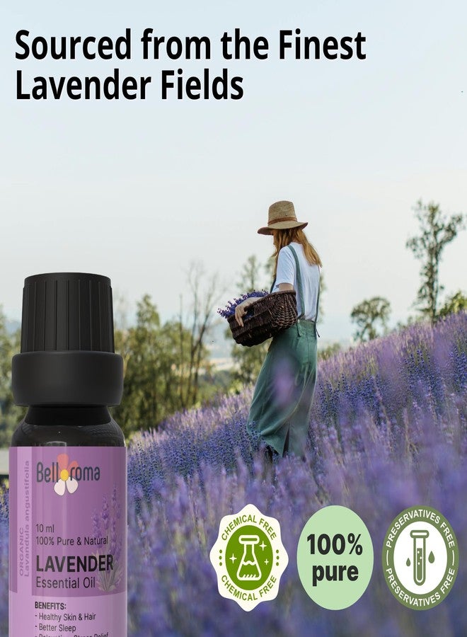 Belloroma Undiluted Lavender Essential Oil – For Skin Care, Deep Sleep, Healthy Hair Growth | Therapeutic Grade | 10ml - Image 2