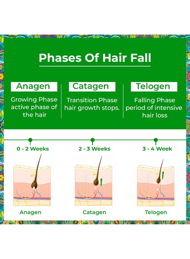 passion indulge سيروم نمو الشعر المتقدم من باسشن إندولج | ريدنسيل + إكليل الجبل، ونخيل الساوا، ومستخلص البراهمي | سيروم لتساقط الشعر ونمو الشعر للرجال والنساء - 50 مل - Image 4