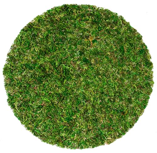SuperMoss سوبرموس (26315) قشور الطين من الطحالب (حصائر)، أخضر طازج، 12 بوصة (3 وحدات) - Image 5