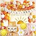 BORAMDO First Trip Around The Sun Birthday Decorations for Girl Boho Sun 1st Birthday Supplies with Backdrop Balloons Garland Monthly Photo Banner for Sun Theme Party - Image 4