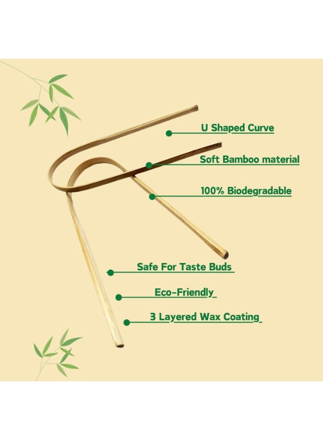 PUREXA Eco-Friendly Oral Care Combo | 1 Bamboo Toothbrush with Activated Charcoal Bristles with 3 Bamboo Tongue Cleaners | Biodegradable Sustainable Oral Hygiene Set - Image 2