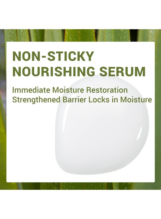 THESAEM Urban Eco Harakeke Ampoule 1.52 Fl.Oz. Vegan Moisturizing Face Serum With Harakeke Extract And Hyaluronic Acid Hydrating Ampoule To Strengthen Skin Barrier - Image 4