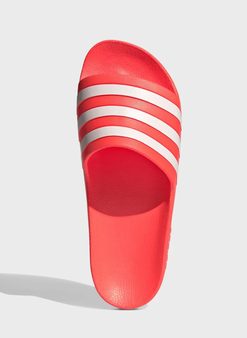 adidas حذاء اديليت اكوا