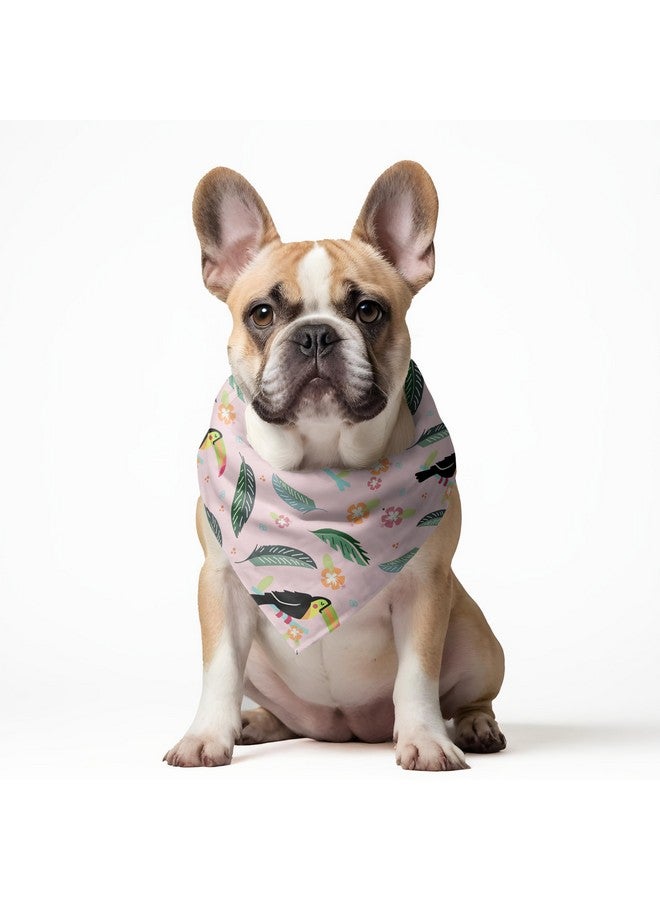 W Brings Toucan Soaked In Pink Dog Bandana/Dog Scarf | This Beautiful Gorgeous Design Dog Bandana Scarf Is Perfect Styling Accessory For Dogs Large, Medium & Small. One Size Fits All. - Image 3