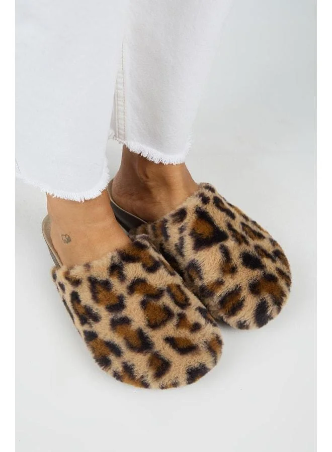 Manijero  Leda Women's Plush Plain Taba Leopard Slippers. for Women | Best Price UAE