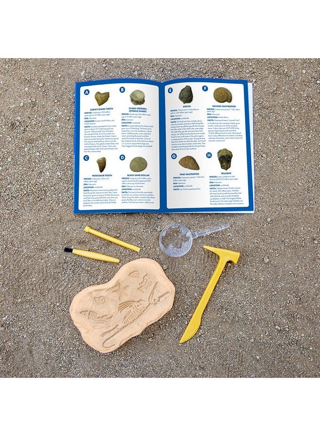 Educational Insights GeoSafari Fossil Excavation Kit, Kids Science Kit, Dinosaur Science Toy, Ages 7+ - Image 2
