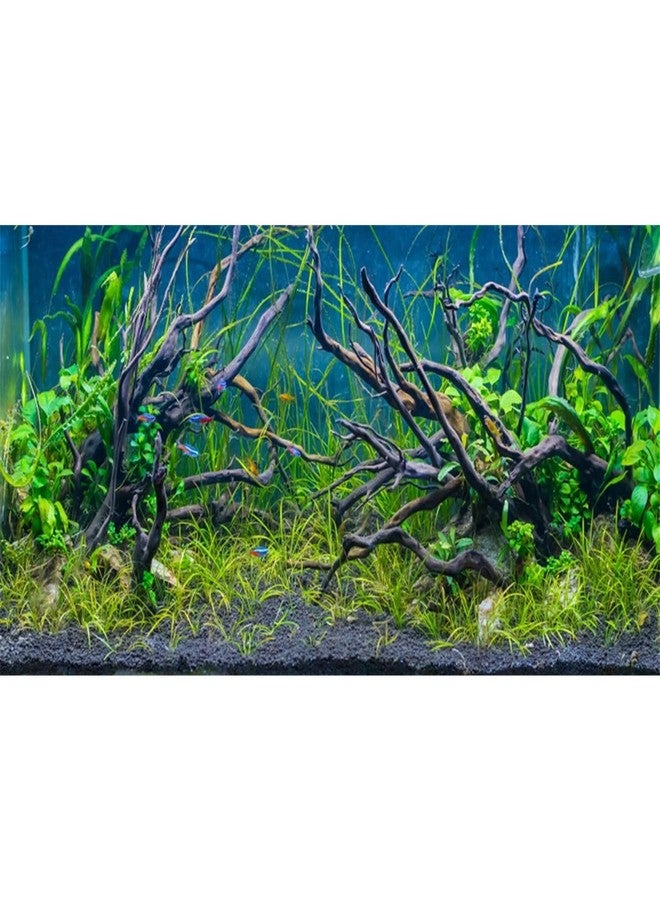 AWERT 72x24 inches Tropical Fish Tank Background River Bed & Lake Aquatic Plant Undersea Tree Branch Aquarium Background Vinyl - Image 1