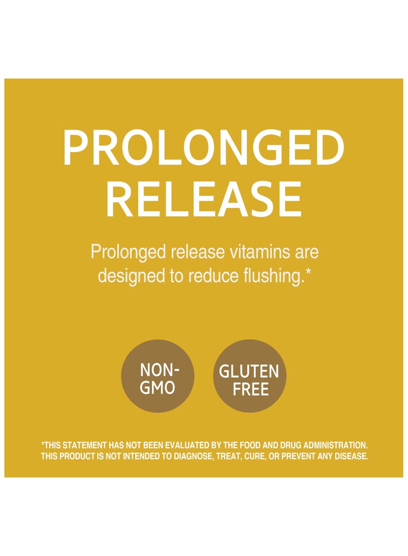 21st Century النياسين ممتد المفعول 100 قرص - Image 3