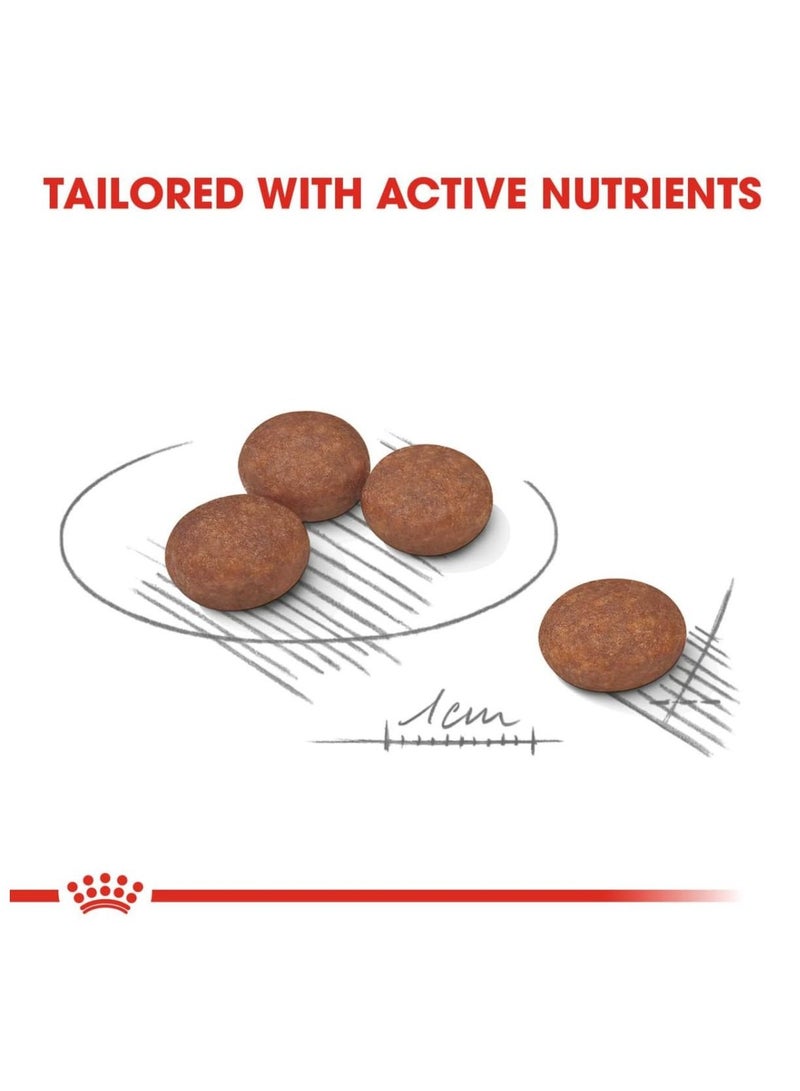 ROYAL CANIN Digestive Care Mini Dog Food 3kg - Image 3