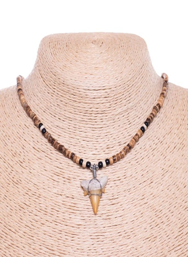 BlueRica Fossil Shark Tooth on Tiger Coconut Shell Beads Necklace (18" 1S) - Image 4