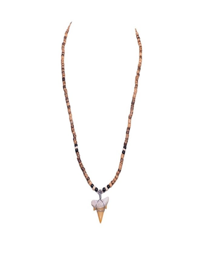 BlueRica Fossil Shark Tooth on Tiger Coconut Shell Beads Necklace (18" 1S) - Image 3