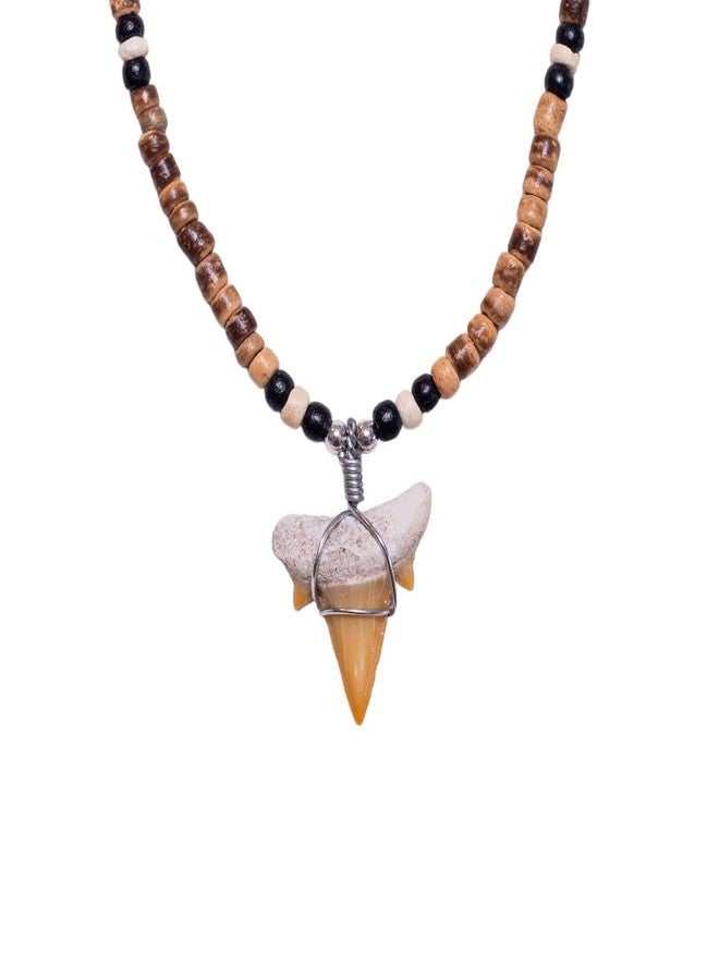 BlueRica Fossil Shark Tooth on Tiger Coconut Shell Beads Necklace (18" 1S) - Image 1