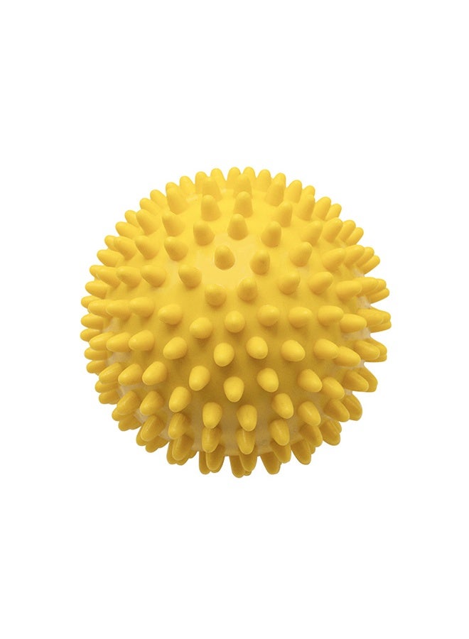 كرة الفايسيا، كرة القبضة، كرة وخز نقاط الوخز بالإبر في باطن القدم - Image 1