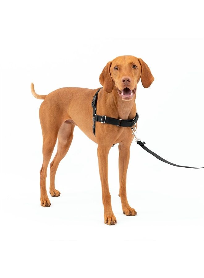 PetSafe Easy Walk No-Pull Dog Harness - The Ultimate Harness to Help Stop Pulling - Take Control & Teach Better Leash Manners - Helps Prevent Pets Pulling on Walks - Medium, Charcoal/Black - Image 1