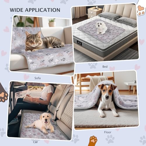 BVAGSS 6 Pack Small Dog Blanket Super Soft Warm Pet Cover Blankets Paw Print Puppy Fleece Flannel Blanket for Small Medium Dogs and Cats MW003 - Image 3