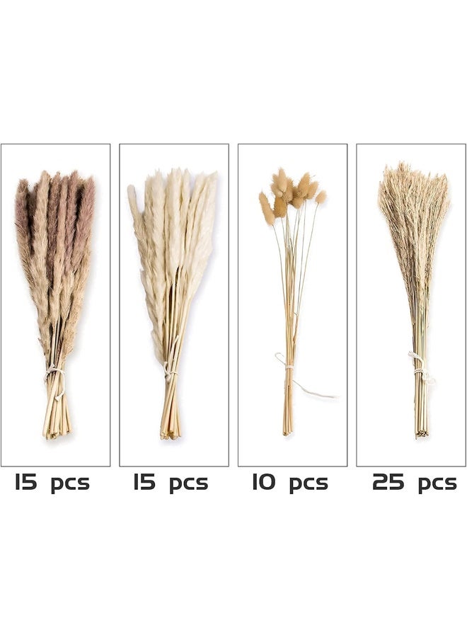 65 قطعة من ديكور عشب بامباس ، بما في ذلك أزهار الأزهار ، والعشب المجفف بالقصب والزهور المجففة من ذيول الأرنب ، وباقة عشب بامباس المجففة الطبيعية لحفل زفاف ديكور بوهو ، والديكور المنزلي - Image 3