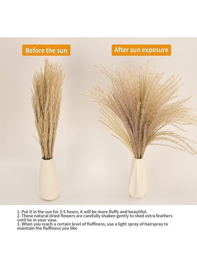 65 قطعة من ديكور عشب بامباس ، بما في ذلك أزهار الأزهار ، والعشب المجفف بالقصب والزهور المجففة من ذيول الأرنب ، وباقة عشب بامباس المجففة الطبيعية لحفل زفاف ديكور بوهو ، والديكور المنزلي - Image 2