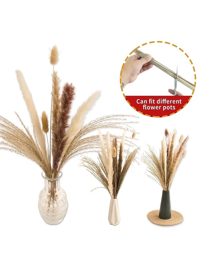 65 قطعة من ديكور عشب بامباس ، بما في ذلك أزهار الأزهار ، والعشب المجفف بالقصب والزهور المجففة من ذيول الأرنب ، وباقة عشب بامباس المجففة الطبيعية لحفل زفاف ديكور بوهو ، والديكور المنزلي - Image 4