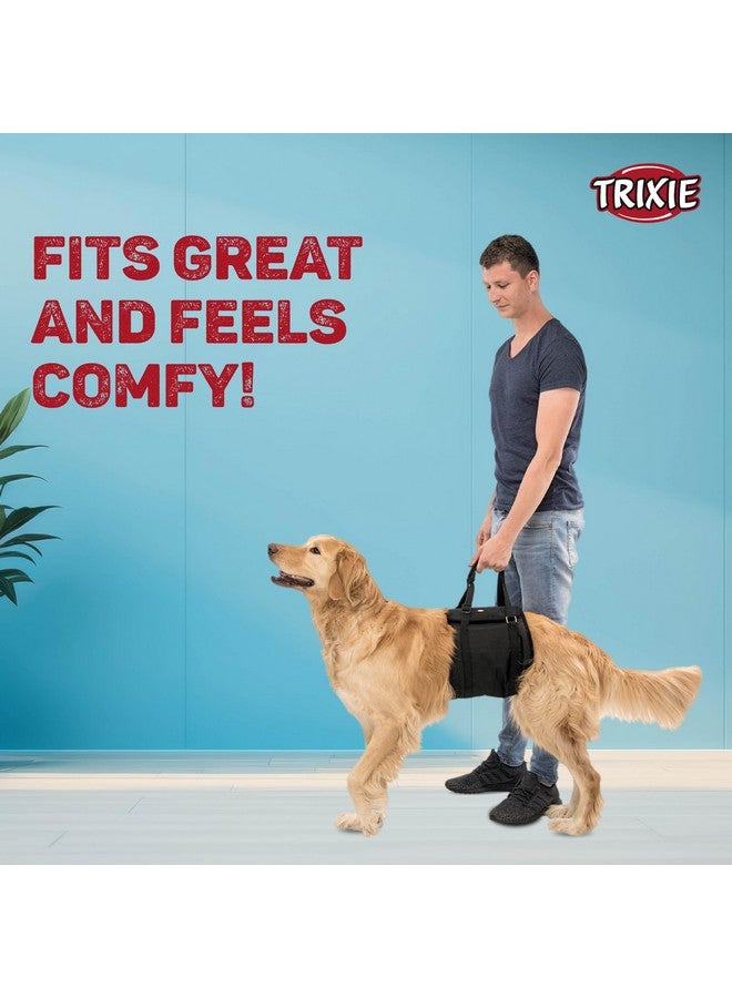 Trixie Walking Aid Dog Harness, L-XL: 75-85 Cm, Black - Image 3