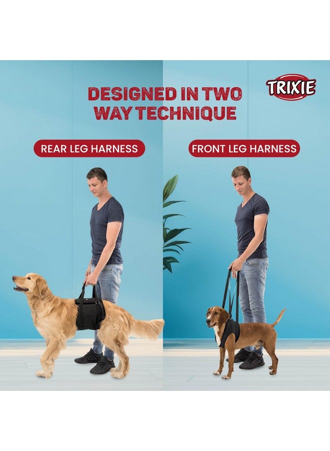 Trixie Walking Aid Dog Harness, L-XL: 75-85 Cm, Black - Image 5
