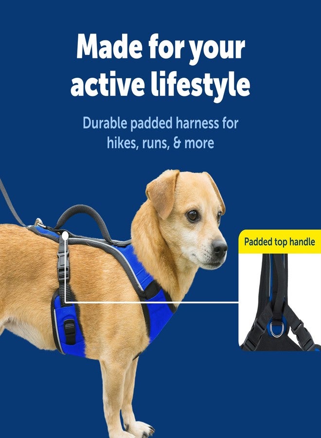 بيت سيف سرج PetSafe EasySport للكلاب، قابل للتعديل، مبطن، مزود بمقبض تحكم وحواف عاكسة، مقاس صغير جدًا، أزرق - Image 3