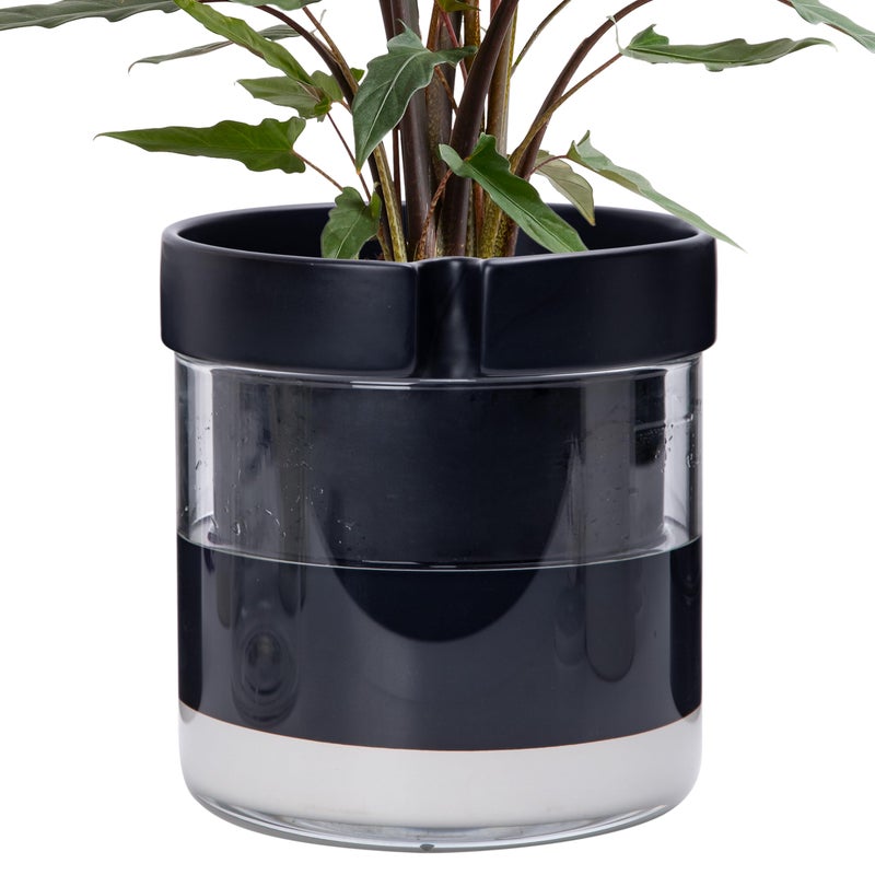 Phoenix Vine 8 Inch Self Watering Terracotta Planter, Black Terracotta Clay Pot with Glass Reservoir for Indoor Plants, Herbs, Flowers, Set of 1, 52-C-H-1 - Image 1
