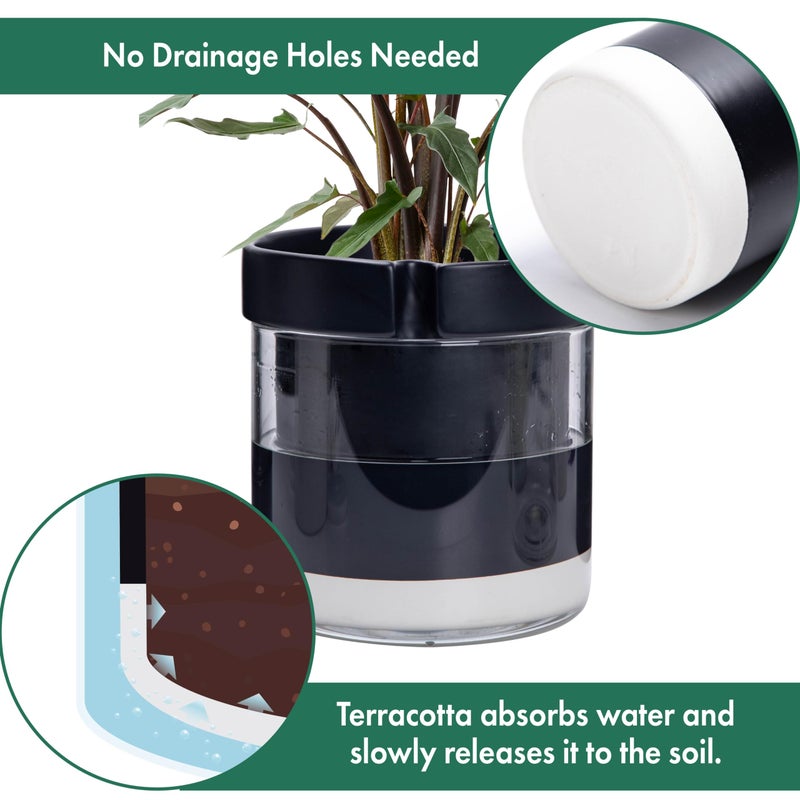 Phoenix Vine 8 Inch Self Watering Terracotta Planter, Black Terracotta Clay Pot with Glass Reservoir for Indoor Plants, Herbs, Flowers, Set of 1, 52-C-H-1 - Image 5