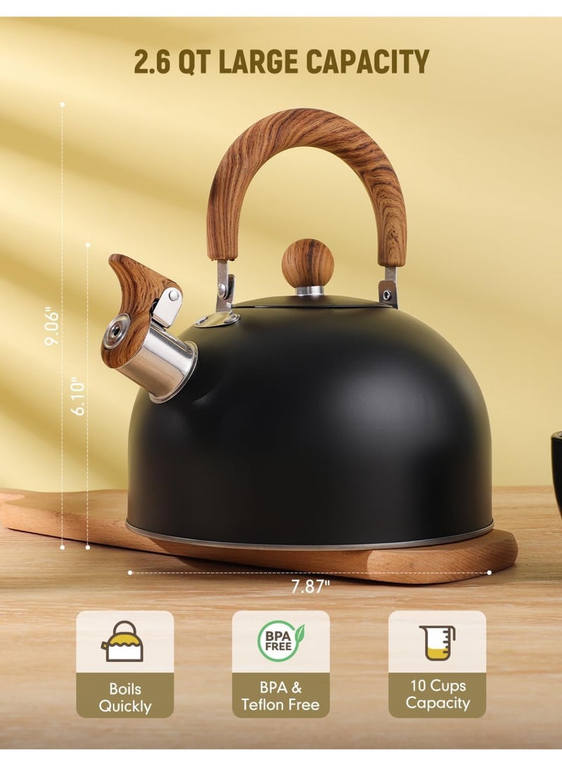 Whistling Tea Kettle for Stovetop, Stainless Steel Tea pot Kettles with Stay-Cool Ergonomic Handle, 3L Rapid Boiling Teapot for Home Kitchen - Matte Black  - Image 5