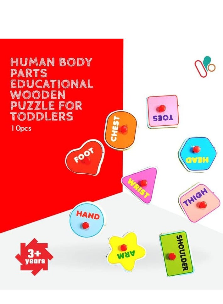 لغز جسم الإنسان بمقبض صبي - Image 3