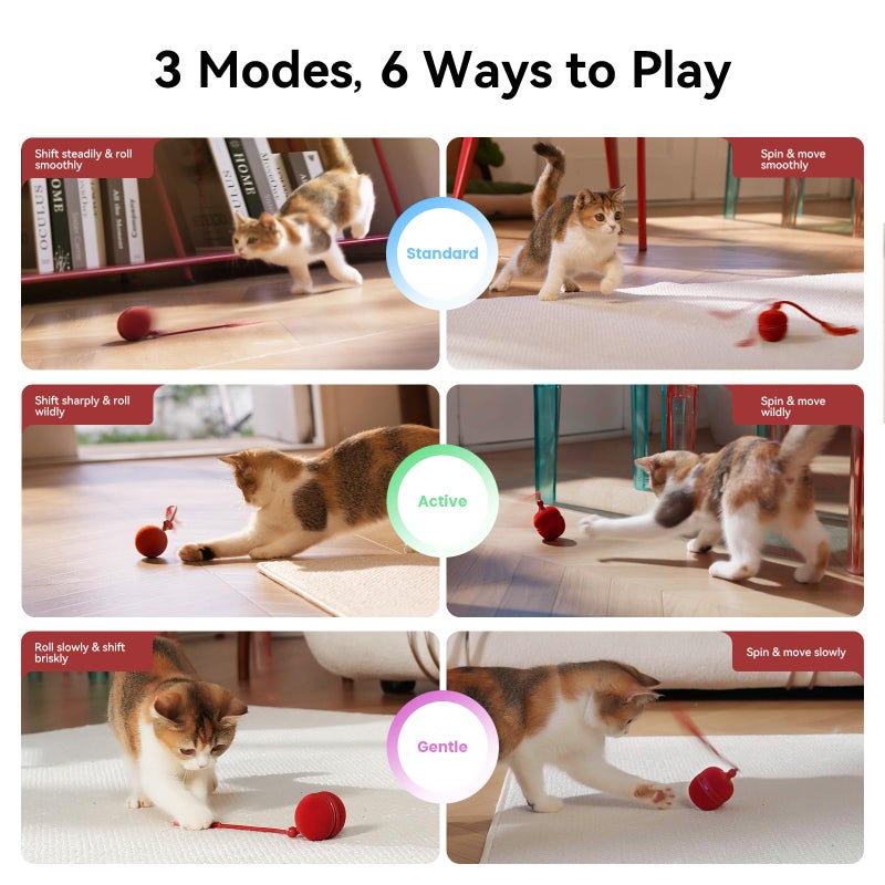 Cheerble 2 in 1 Interactive Cat Toys for Indoor Cats - Wicked Ball Duo2 Automatic Cat Toy, Dual Interchangeable Shells, Electric Cat Toy Ball with Chirping Sounds, Rechargeable Moving Kitten Toys, Red - Image 3