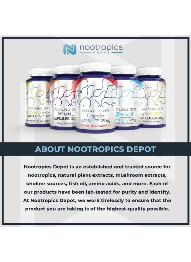 Nootropics Depot - Uridine Monophosphate Capsules ; Disodium Salt (60 Count) Cognitive Enhancer* ; Nootropic ; Choline Precursor - Image 1