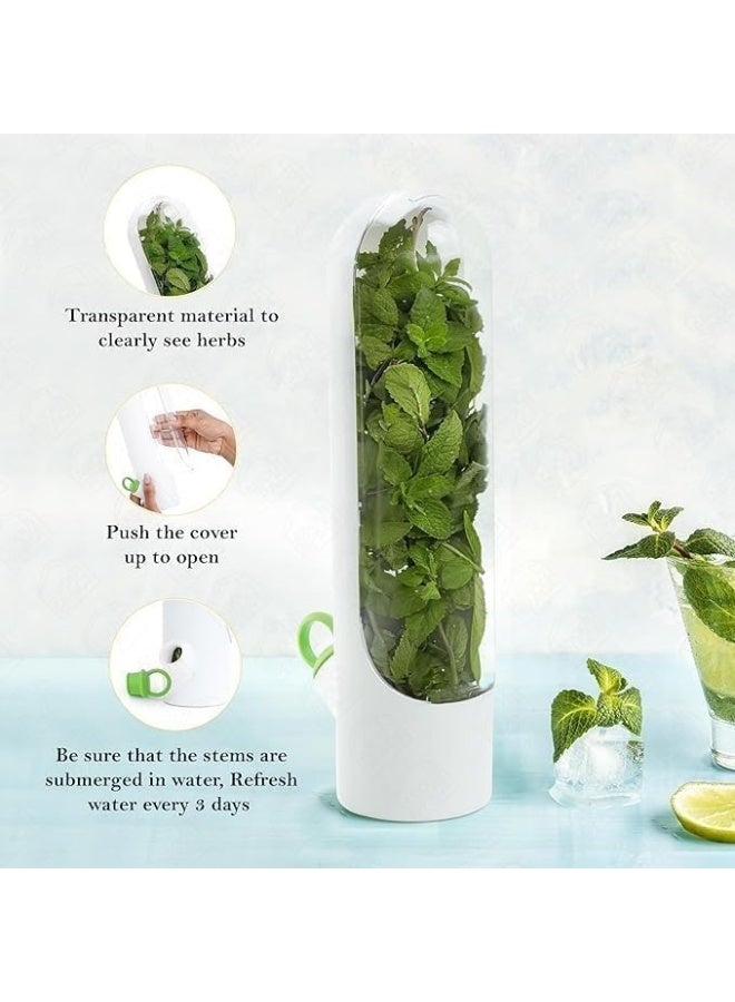 كبسولة أعشاب الطهي الساحرة 🌿🌿 - تحفظ الأعشاب الورقية طازجة لفترة طويلة. مثالية للكزبرة والبقدونس والنعناع والمزيد! تصميم أنيق، سهلة الا - من جينيريك - Image 4