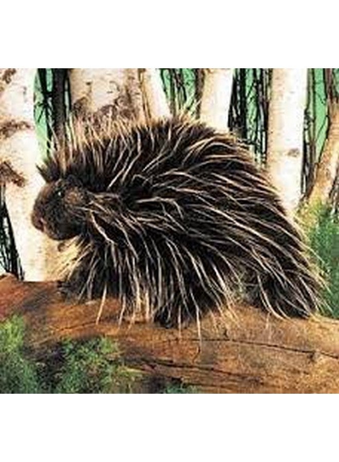 Folkmanis Porcupine Hand Puppet - Image 5