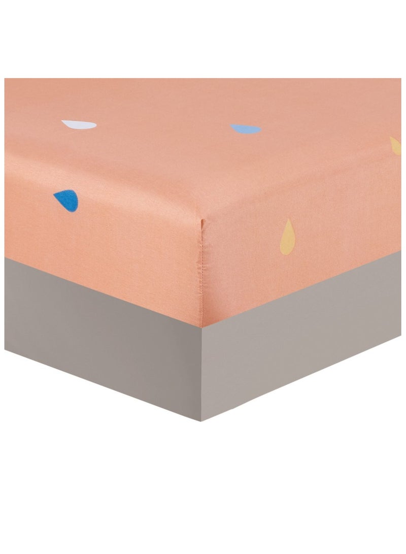 بيلوبيري طقم لحاف مفرد ونص بألوان زاهية وجذابة 5 قطع  030-ARIS - Image 5