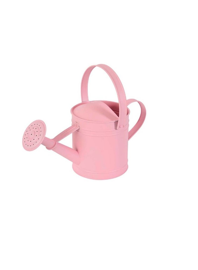KNP Varnished Metal Watering Cans 3L Pink VX5908 