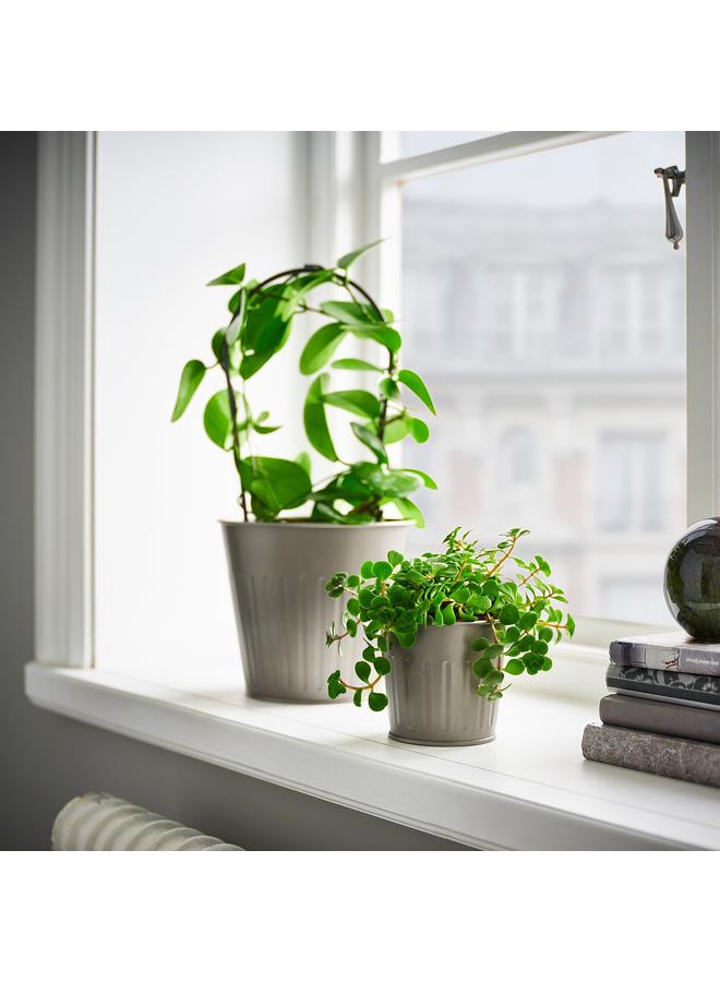 Zaboon Plant Pot, In/Outdoor/Grey, 9 Cm - Image 2