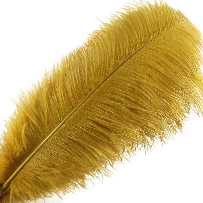 Sowder 5pcs Ostrich Feathers 16-18inch(40-45cm) Home Wedding Decoration(Gold) - Image 1