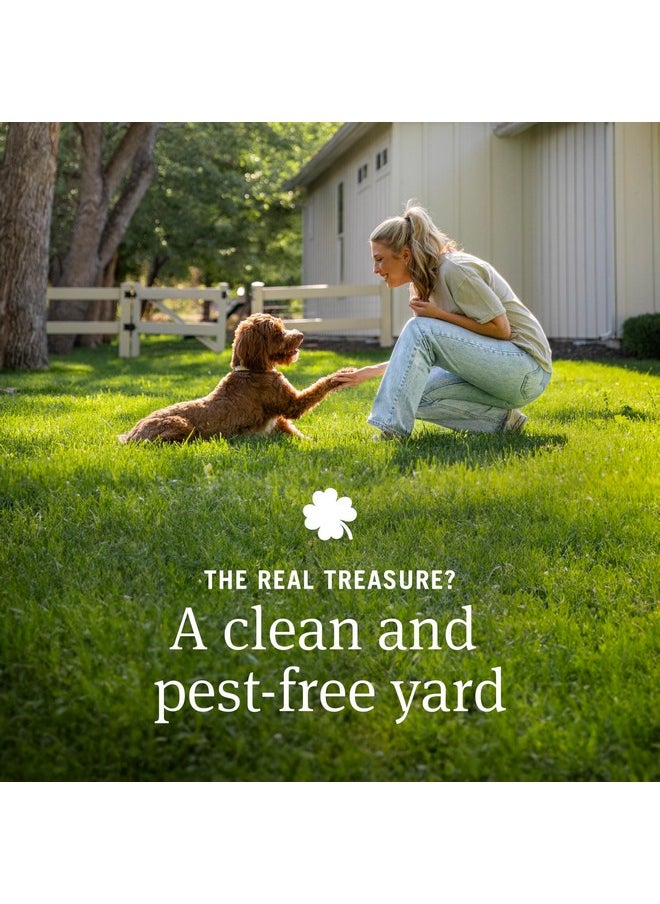 PetArmor PetArmor Home Yard Spray for Dogs, Kills and Protects Against Fleas, Ticks, Mosquitoes, Ants, and Other Bugs, 32oz  - Image 2