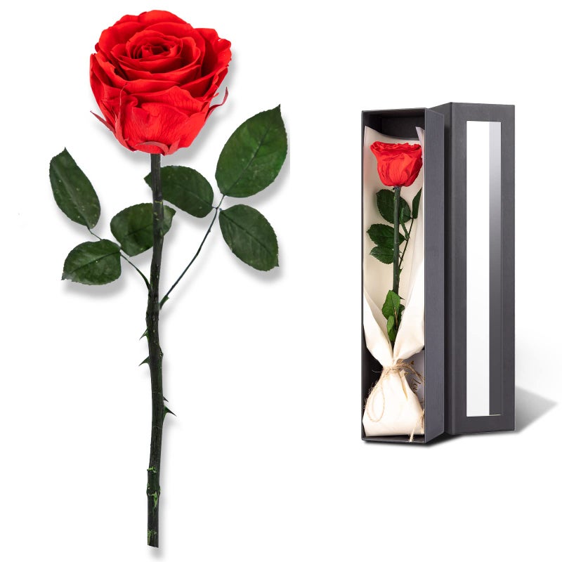 Flowers for Delivery Prime Preserved Roses Flower Gifts for Women Real Roses Single Rose Gifts for Her Mom Birthday Gifts from Daughter Valentines Flowers Red Roses
