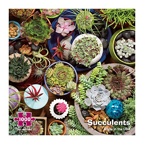 Re-marks Succulents 1000-Piece Puzzle, Artistic Jigsaw Puzzle for All Ages - Image 1